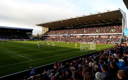 在观赏性和 在观赏性和